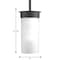 Progress Lighting Hawthorne Collection One-Light Small Hanging Lantern P5513-31 - alternate 4